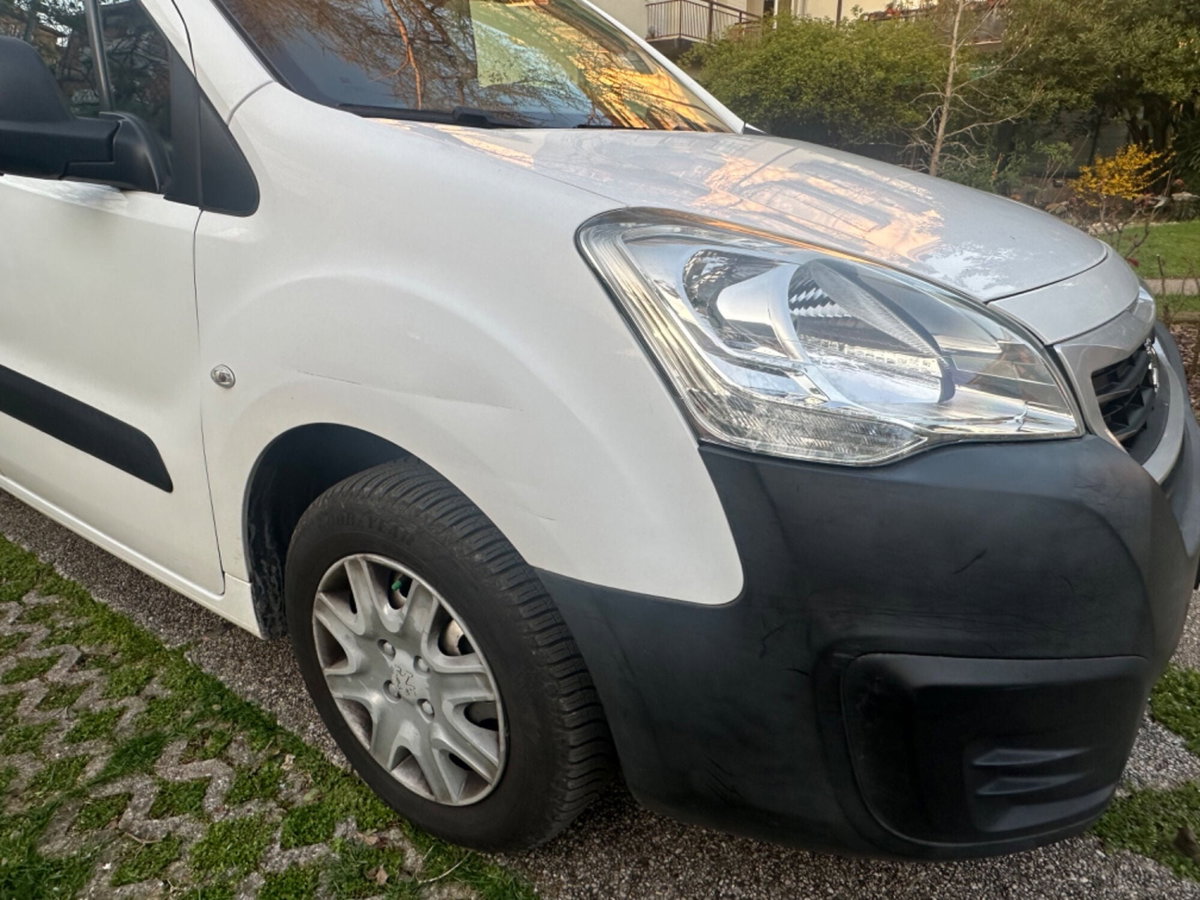 Peugeot Partner Telaio BlueHDi 100 L1 Pianale Cabinato (8)