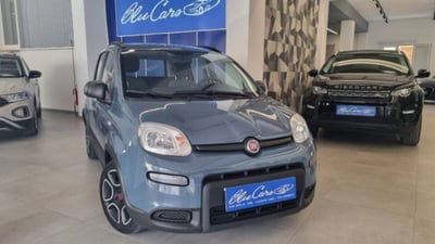 Fiat Panda 1.0 FireFly S&S Hybrid City Cross usata