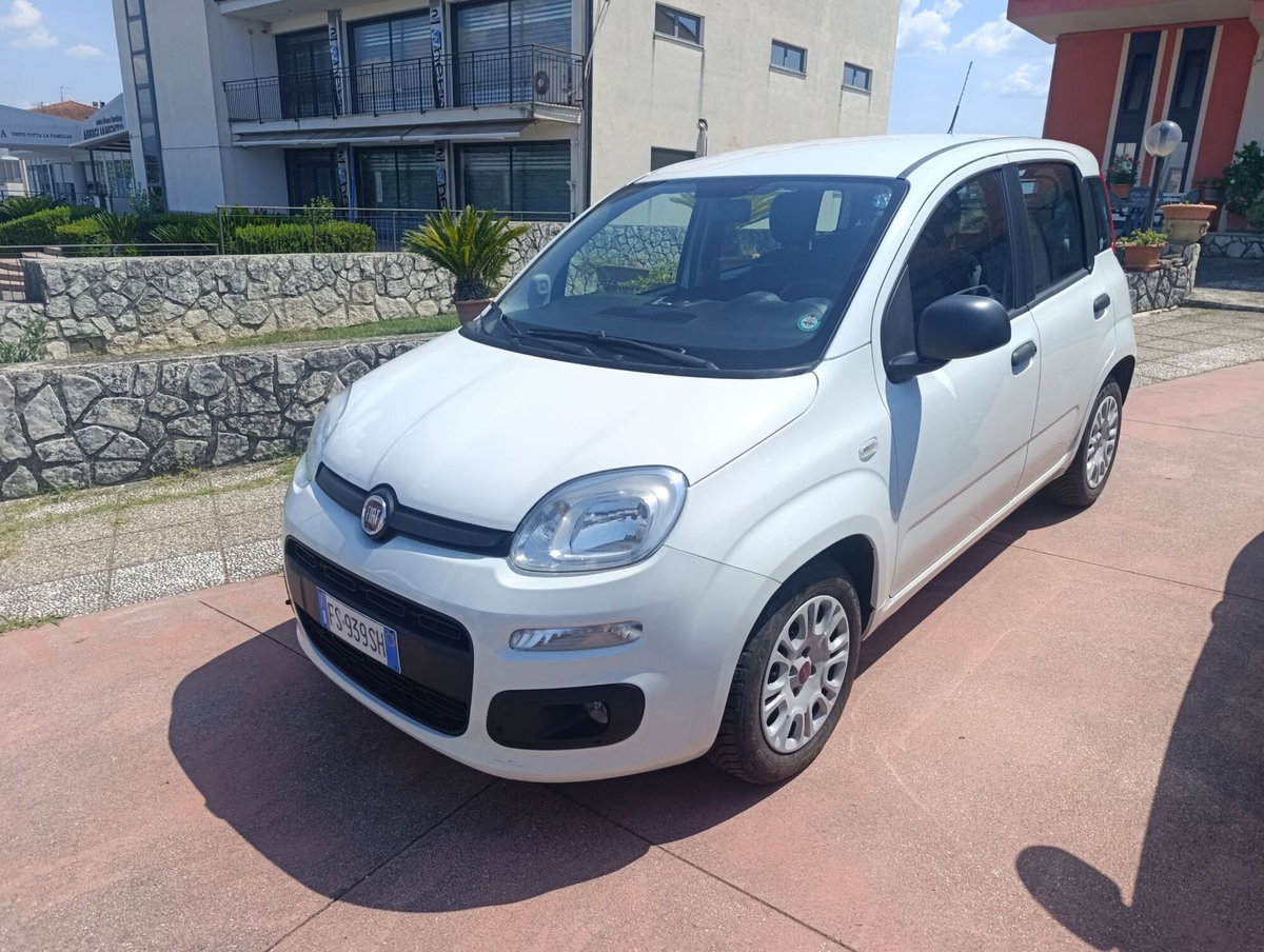Fiat Panda 1.3 MJT S&S Easy Van 4 posti (2)