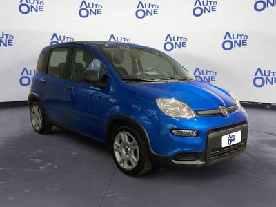 Fiat Panda 1.0 FireFly S&S Hybrid City Cross usata
