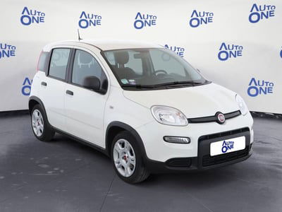 Fiat Panda 1.0 FireFly S&S Hybrid City Cross usata