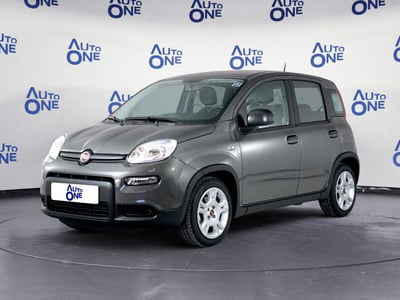 Fiat Panda 1.0 FireFly S&S Hybrid City Cross usata