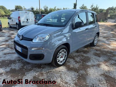 Fiat Panda 1.2 Easy usata