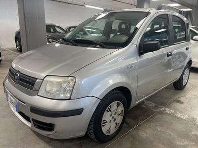 Fiat Panda 1.2 4x4 usata