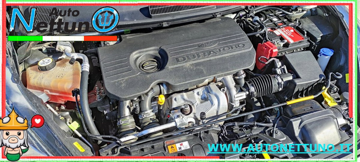 Ford Fiesta 1.5 TDCi 75CV 5 porte Titanium (17)