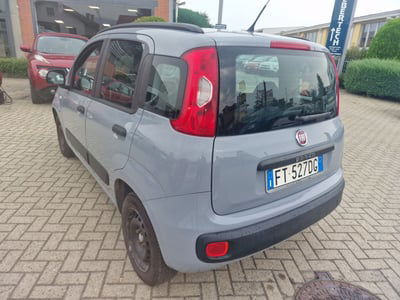 Fiat Panda 1.2 Easy usata