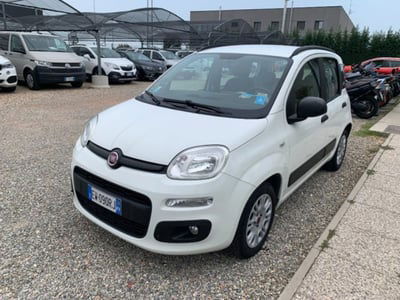 Fiat Panda 1.2 EasyPower Lounge usata