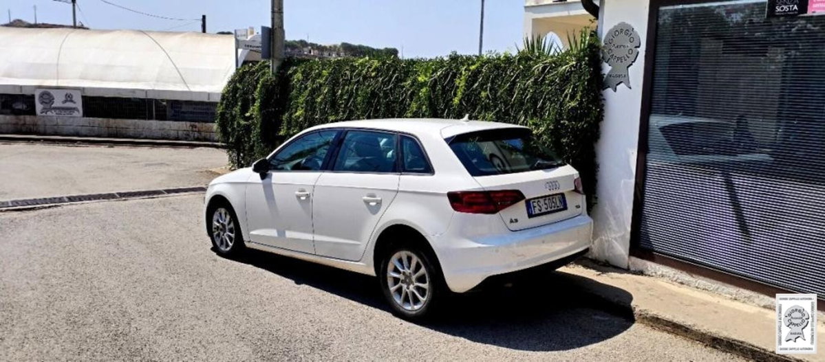 Audi A3 Sportback 1.6 TDI Young (2)