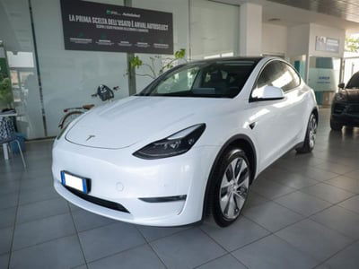 Tesla Model X Model X 75kWh Dual Motor usata