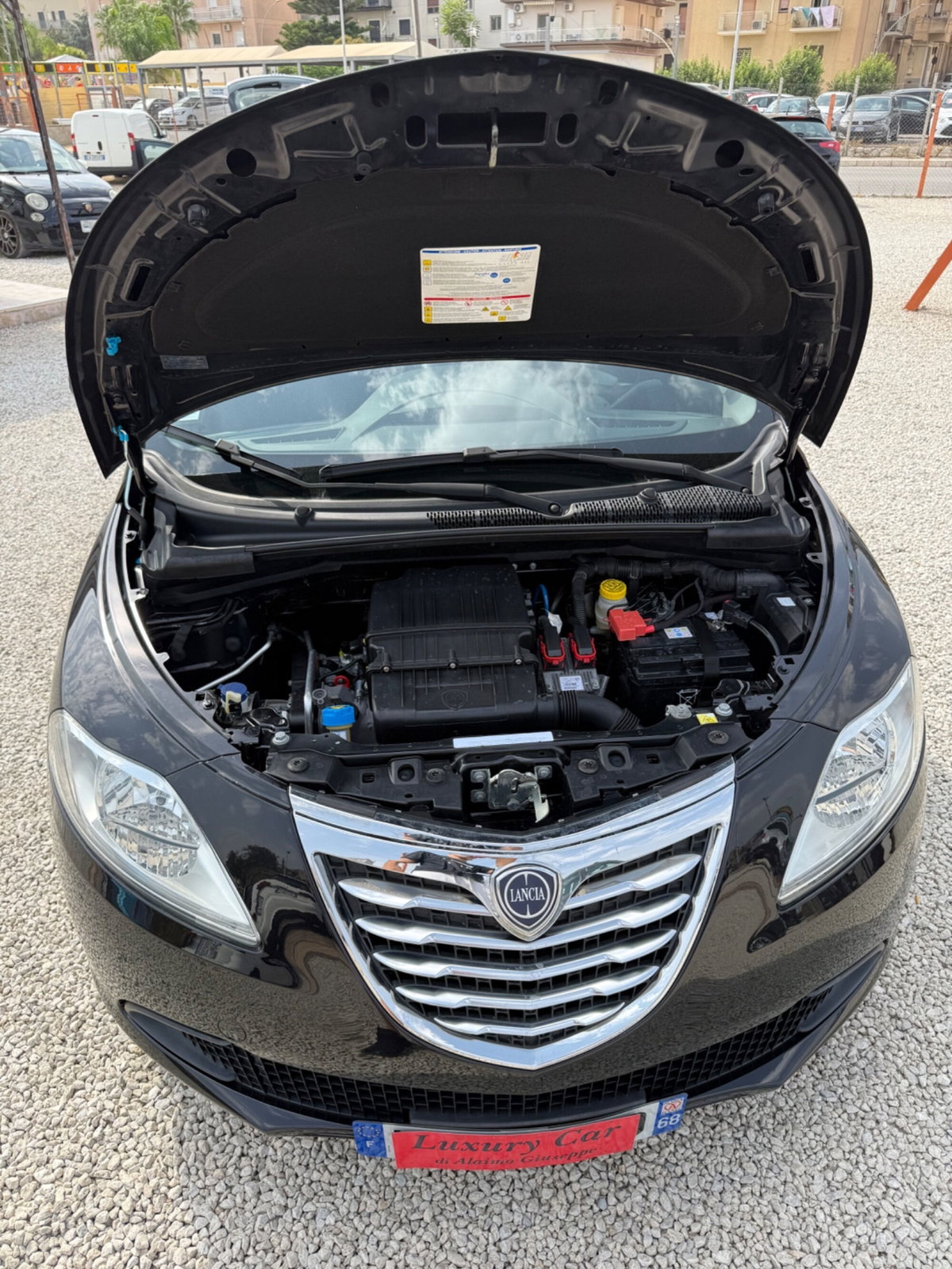 Lancia Ypsilon 1.2 69 CV 5 porte Silver (15)