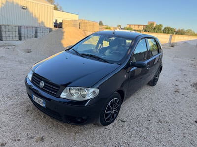Fiat Punto 1.3 Multijet 16V 5 porte Dynamic usata