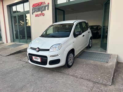 Fiat Panda 1.2 Easy usata