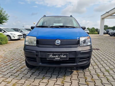 Fiat Panda 1.2 4x4 Glam usata