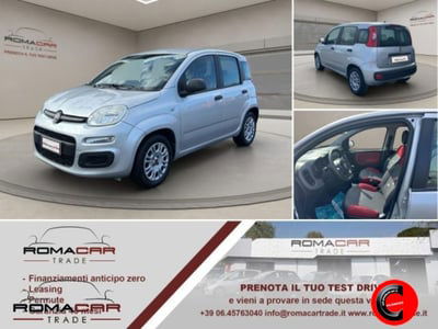 Fiat Panda 1.2 Easy usata