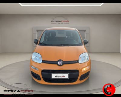 Fiat Panda 1.2 Easy usata