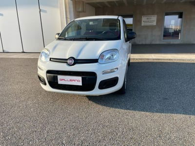 Fiat Panda 1.2 Easy usata