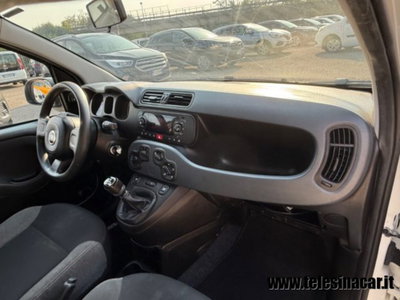 Fiat Panda 1.0 firefly hybrid s&s 70cv 5p.ti (17)