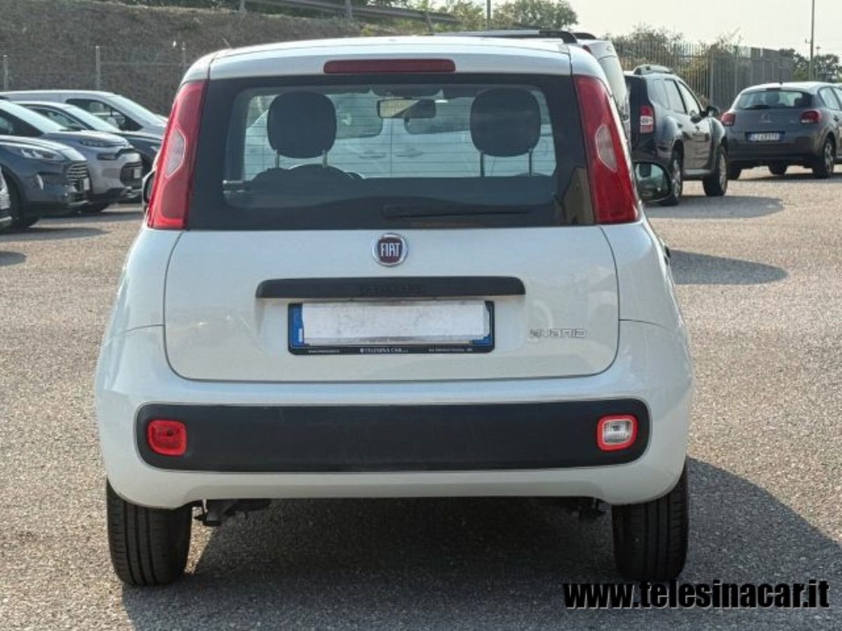 Fiat Panda 1.0 firefly hybrid s&s 70cv 5p.ti (7)