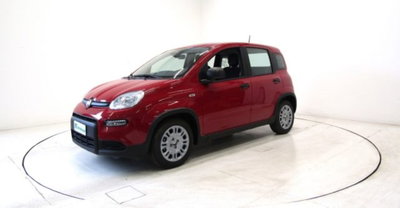 Fiat Panda 1.0 firefly hybrid s&s 70cv 5p.ti (20)