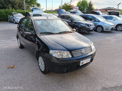 Fiat Punto Classic 1.2 5 porte Active usata