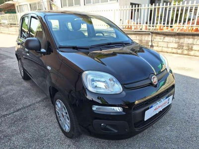 Fiat Panda 1.2 EasyPower Easy usata