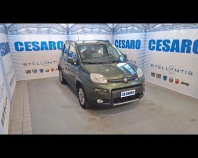 Fiat Panda 0.9 TwinAir Turbo S&S Trekking usata