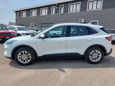 Ford Kuga 1.5 EcoBlue 120 CV aut. 2WD ST-Line X Design usata