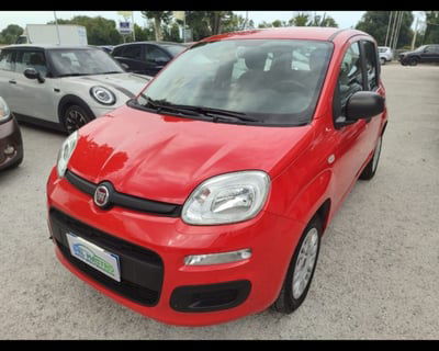 Fiat Panda 1.2 Easy usata