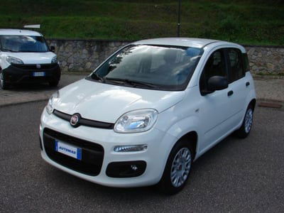Fiat Panda 1.2 Easy Van 4 posti usata