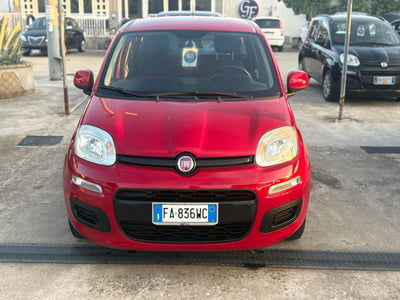 Fiat Panda 1.2 Easy usata