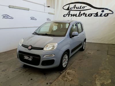 Fiat Panda 1.2 Lounge usata