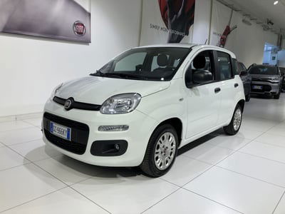 Fiat Panda 1.2 Easy Van 4 posti usata