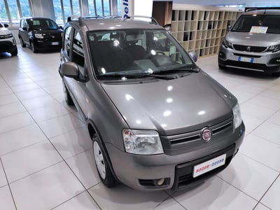 Fiat Panda 1.2 4x4 usata