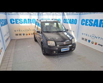 Fiat Panda 1.2 Dynamic Eco usata