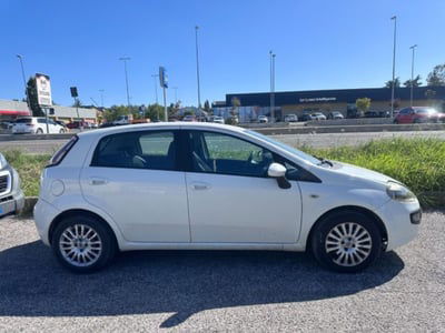 Fiat Punto Evo 1.3 Mjt 75 CV 5 porte Active usata