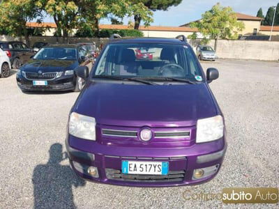 Fiat Panda 1.2 Climbing Natural Power usata