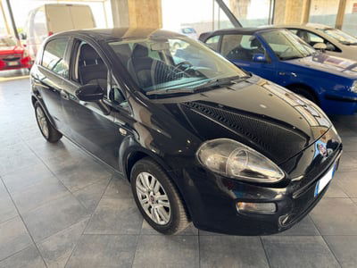 Fiat Punto 1.2 8V 5 porte Street usata