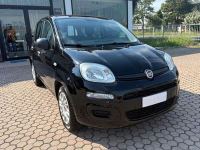 Fiat Panda 1.2 EasyPower Lounge usata