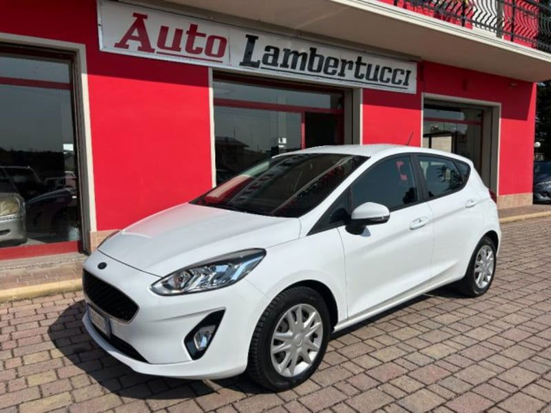 Ford Fiesta 1.5 EcoBlue 5 porte Business High