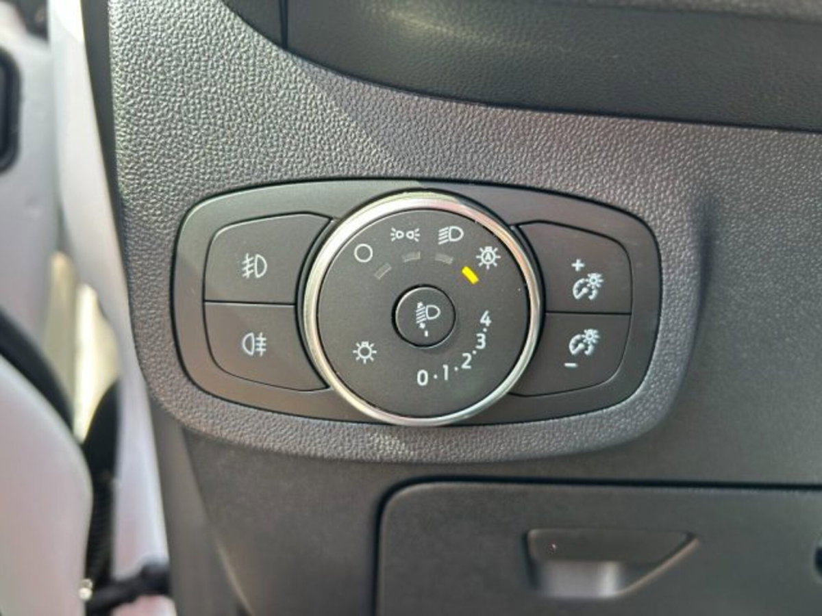 Ford Fiesta 1.5 EcoBlue 5 porte Business High (13)