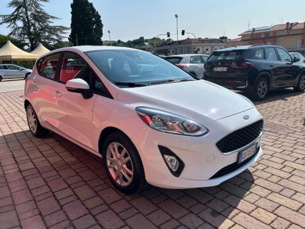 Ford Fiesta 1.5 EcoBlue 5 porte Business High (2)
