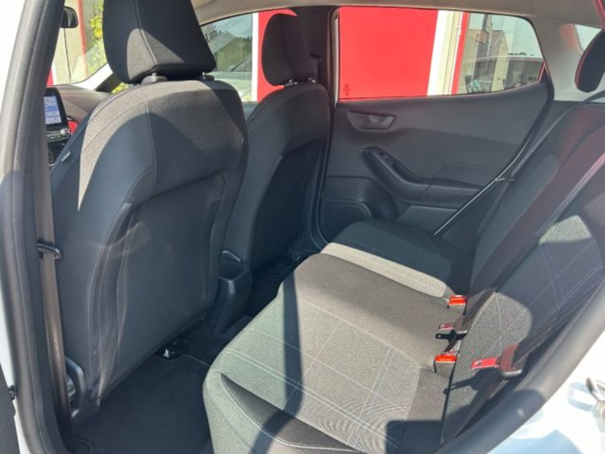 Ford Fiesta 1.5 EcoBlue 5 porte Business High (6)