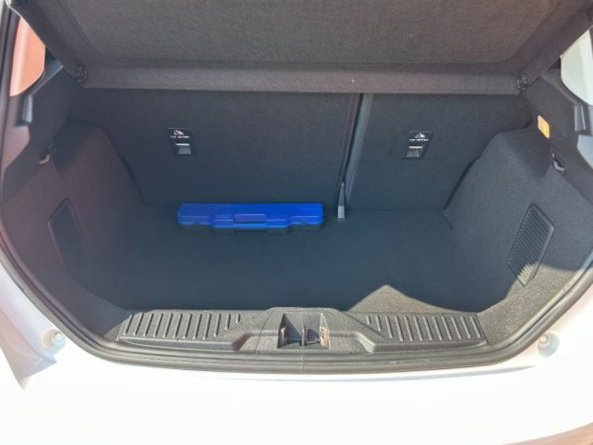 Ford Fiesta 1.5 EcoBlue 5 porte Business High (8)