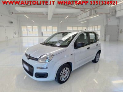 Fiat Panda 1.2 Easy usata