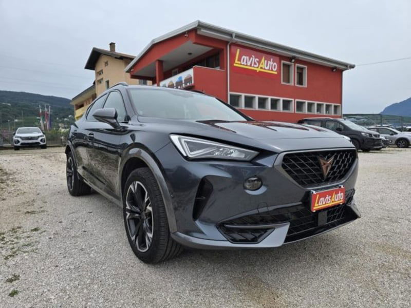 Cupra Formentor Formentor 2.0 tdi 4drive 150cv dsg