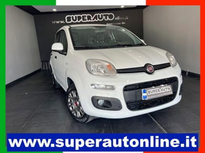 Fiat Panda 1.2 Easy usata