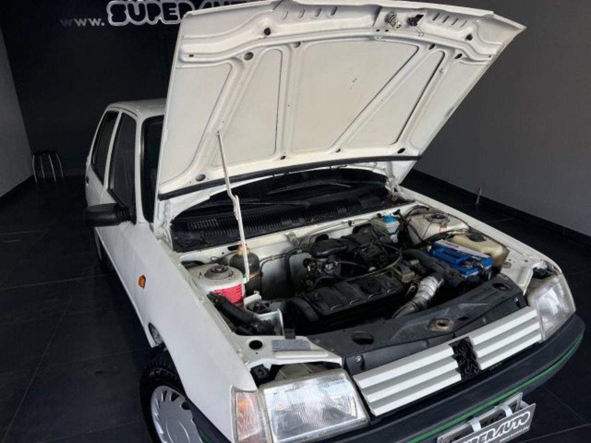 Peugeot 205 5 porte Open (13)