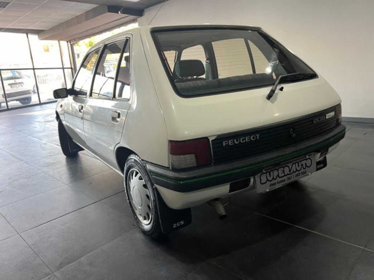 Peugeot 205 5 porte Open (4)