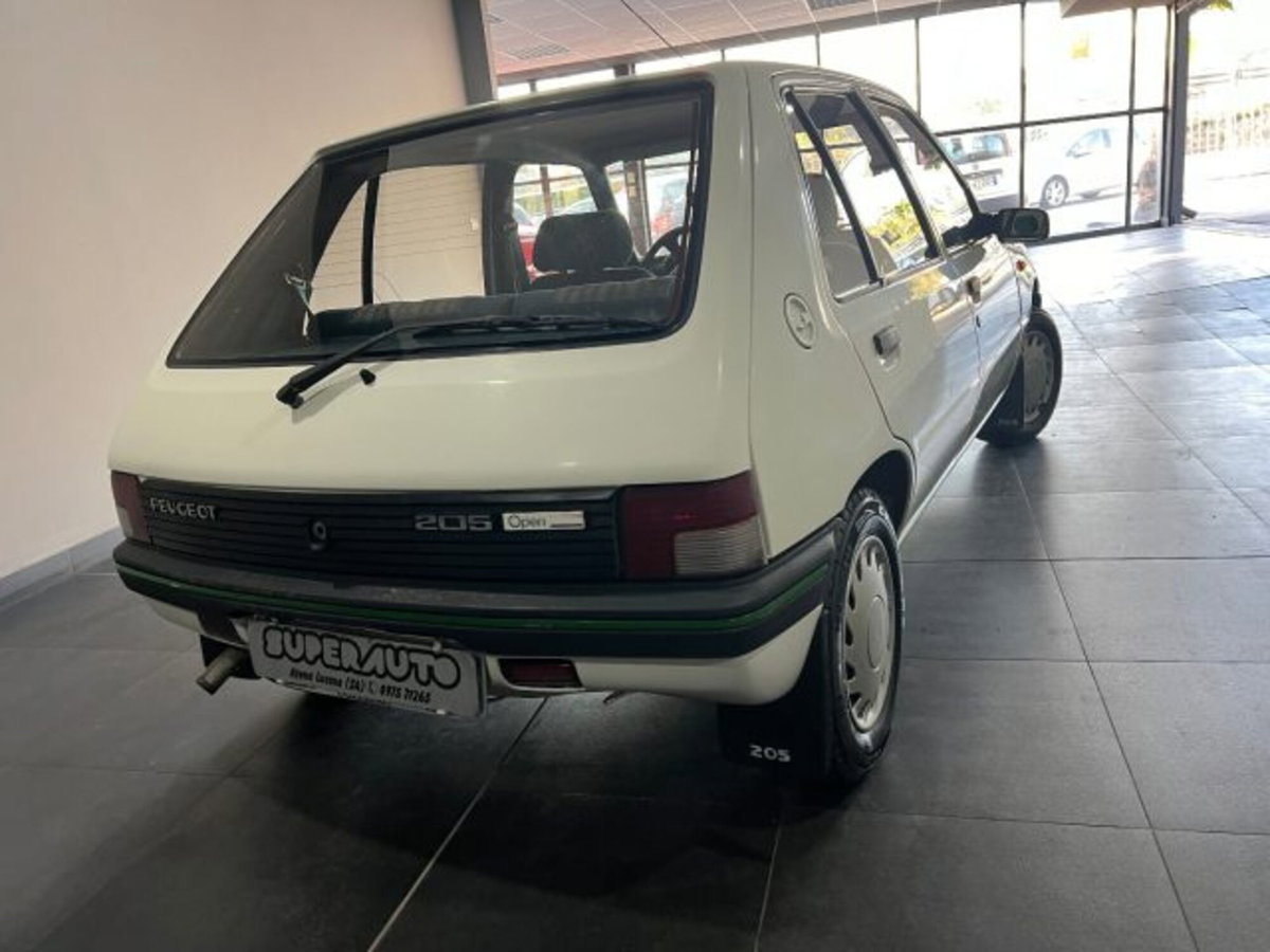 Peugeot 205 5 porte Open (6)