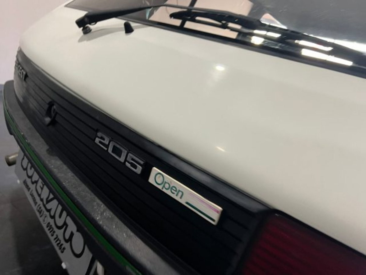 Peugeot 205 5 porte Open (12)